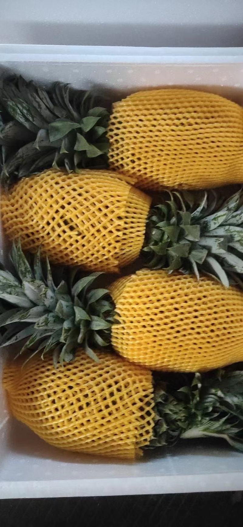 海南金钻凤梨16号甜蜜蜜常年批发果园直发
