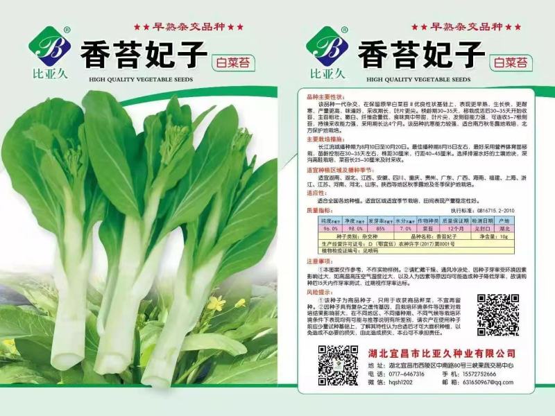 香苔妃子白菜苔种子，早熟耐寒，生长快味道好