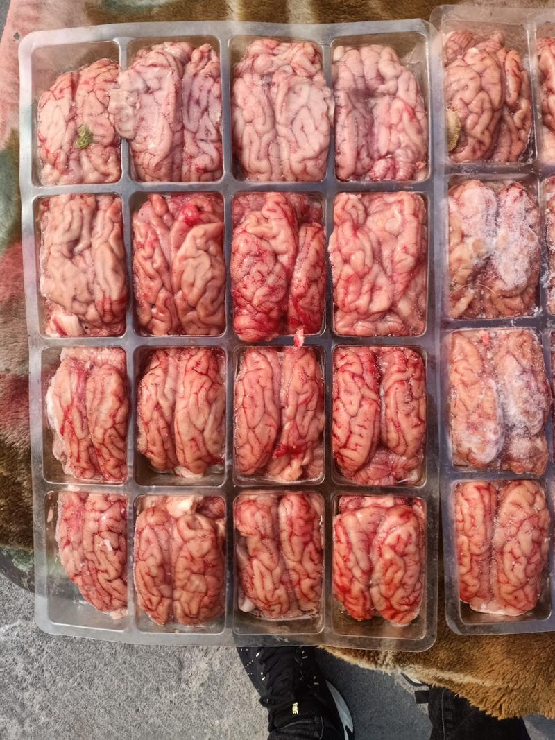 单冻猪脑花，一级脑花二级脑花，药用脑花96个装，量大从优
