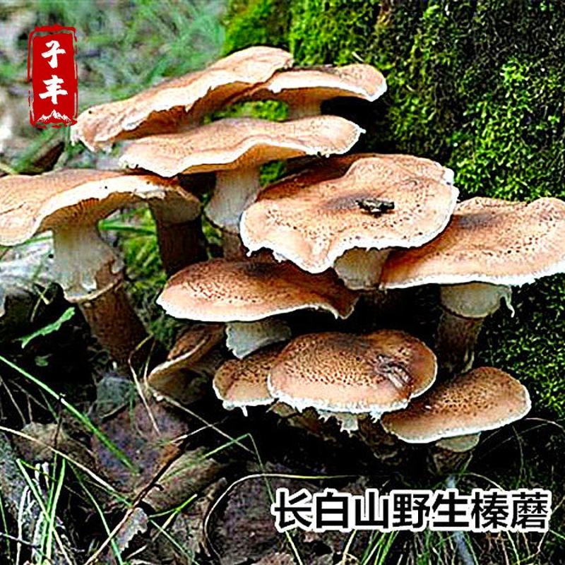 东北特产