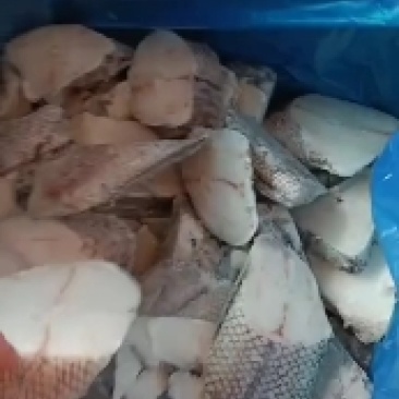 工厂直销销售各种规格的干冰鳕鱼片鳕鱼小块鳕鱼尾片