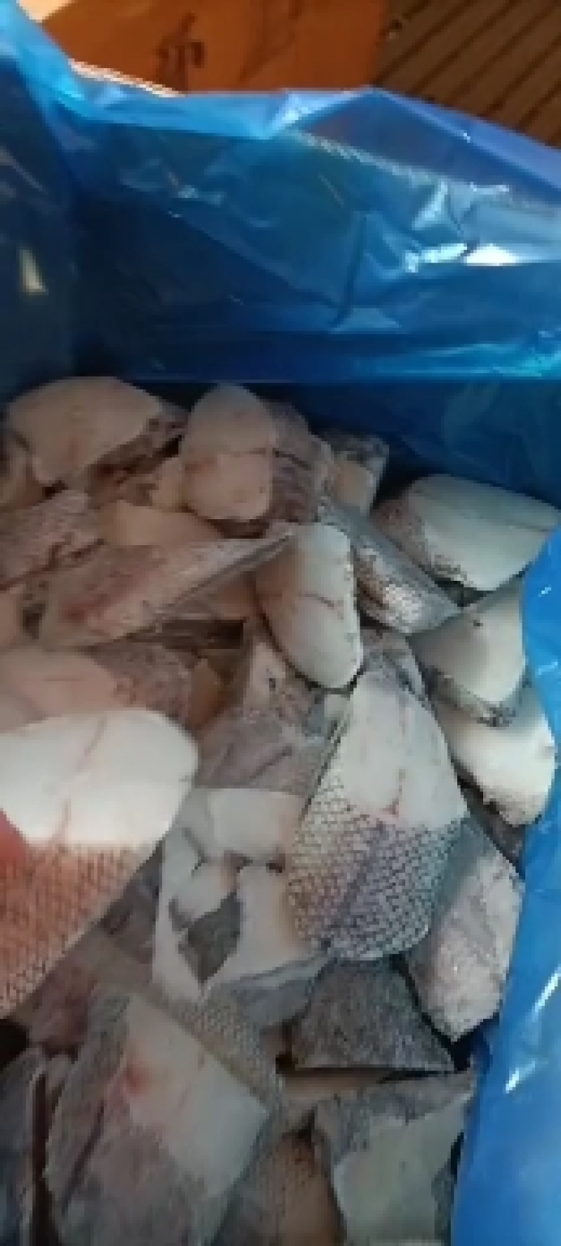 工厂直销销售各种规格的干冰鳕鱼片鳕鱼小块鳕鱼尾片