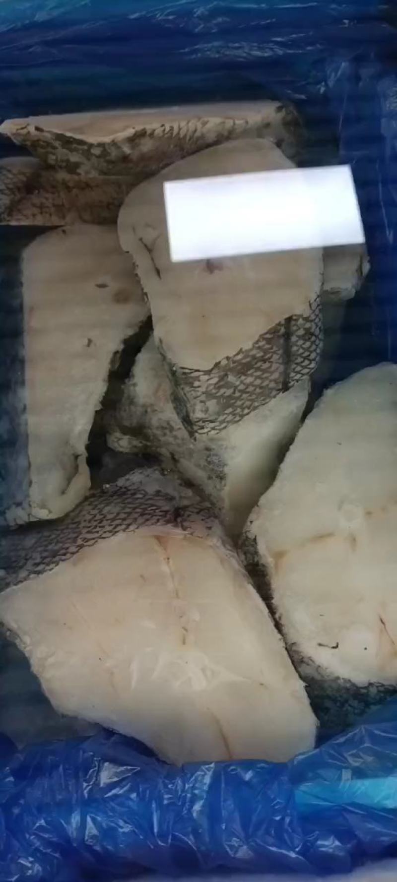工厂直销销售各种规格的干冰鳕鱼片鳕鱼小块鳕鱼尾片