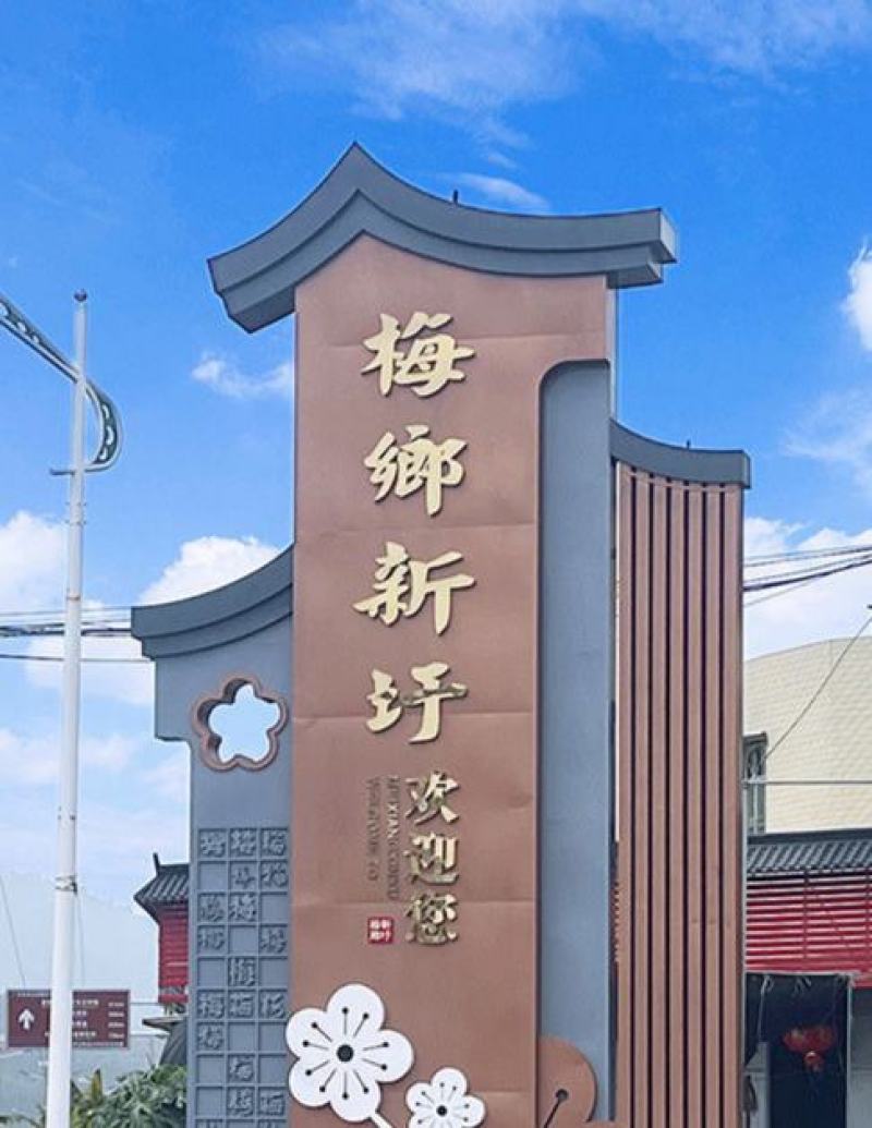 广东梅子福建青梅青竹梅腌制梅大水梅供应工厂果
