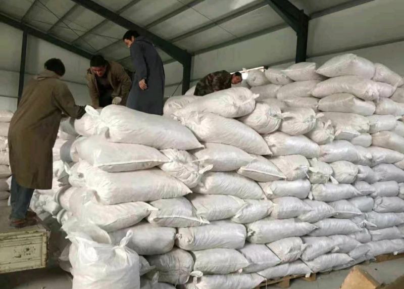 振兴药材批发供应平贝母规格齐全产地直供一手货源全国
