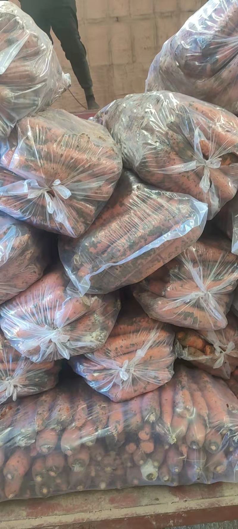 胡萝卜冷库胡萝卜。大量供应，冷库货。北京包。市场，电商都