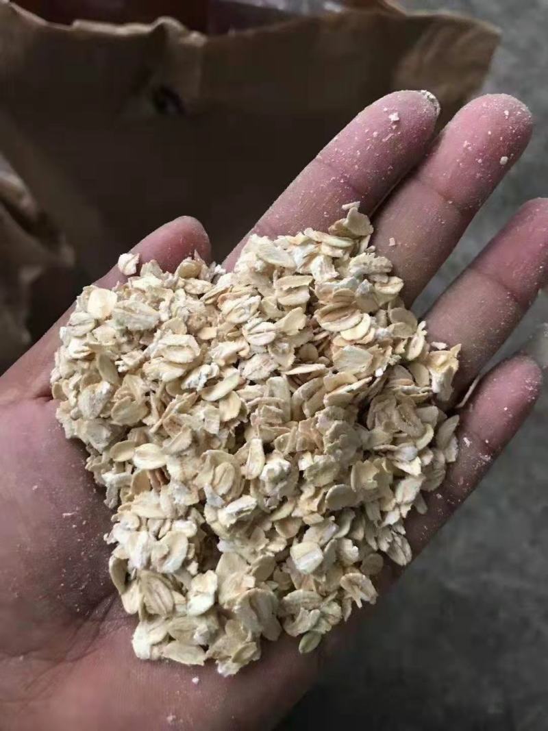 燕麦片，生燕麦片，熟黑燕麦片，熟白燕麦片