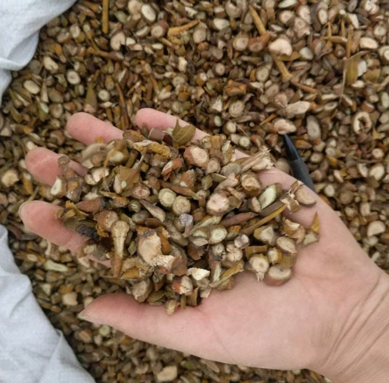 振兴药材批发供应斛寄生规格齐全产地直供一手货源全国发货