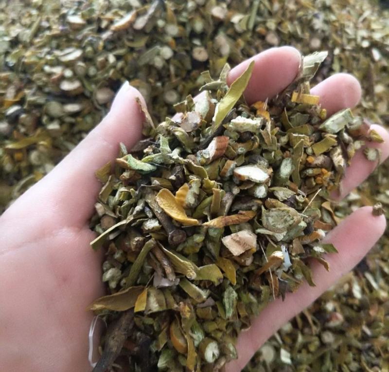 振兴药材批发供应寄生规格齐全产地直供一手货源全国发货