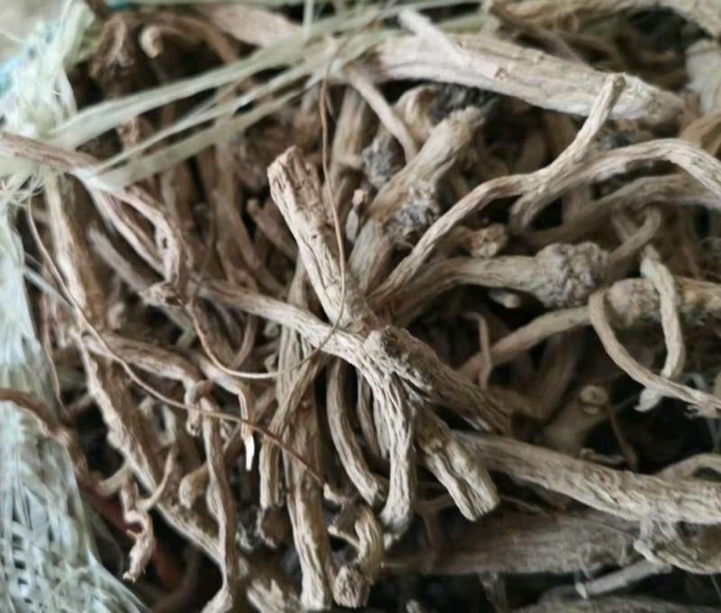 振兴药材批发供应板蓝根个规格齐全产地直供一手货源全国发货