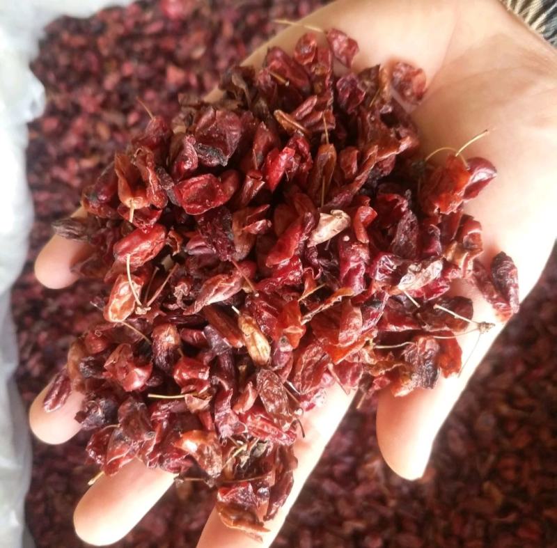 振兴药材批发供应山萸肉规格齐全产地直供一手货源全国发货