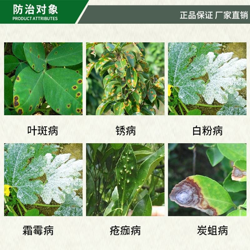 32%苯甲吡唑酯悬浮剂果树柑橘沙皮病火龙果炭蛆病草莓白粉
