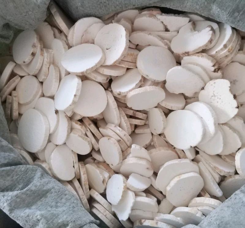 振兴药材批发供应圆片山药规格齐全产地直供一手货源全国发货