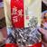 银耳虫草花猴头菇竹荪滑子菇黑木耳香菇小包装