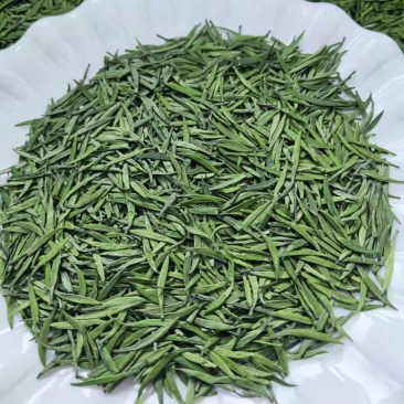 2022明前茶
