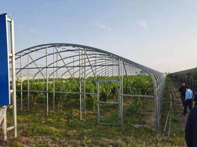 新型养羊大棚十年质保结实耐用全国发货包建
