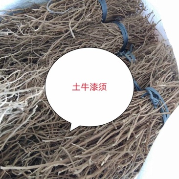 广东土牛漆各种规格有货，颜色漂亮无杂质，足干货大量供应，