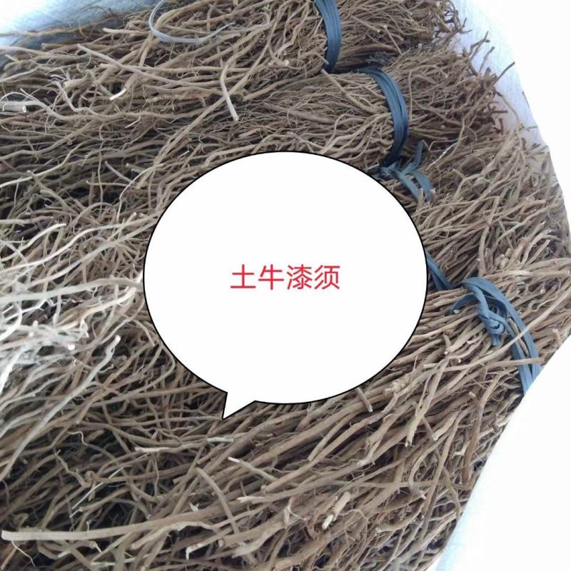 广东土牛漆各种规格有货，颜色漂亮无杂质，足干货大量供应，