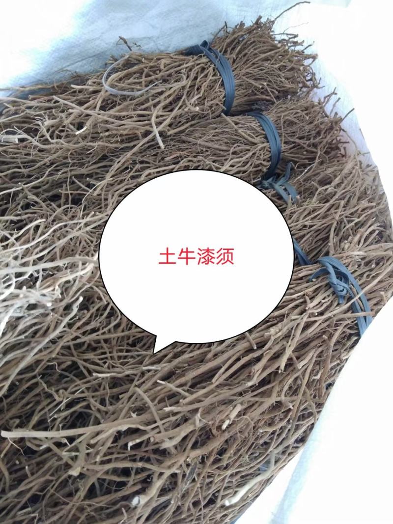 广东土牛漆各种规格有货，颜色漂亮无杂质，足干货大量供应，