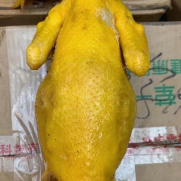 盐焗鸡，盐焗鸡腿一件50斤，支持全国发货！颜色漂亮！
