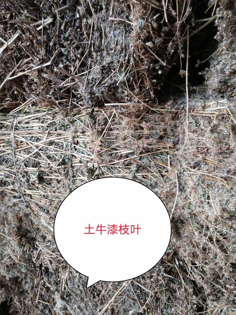 广东土牛漆各种规格有货，颜色漂亮无杂质，足干货大量供应，