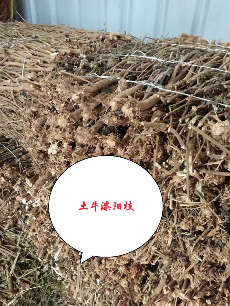 广东土牛漆各种规格有货，颜色漂亮无杂质，足干货大量供应，