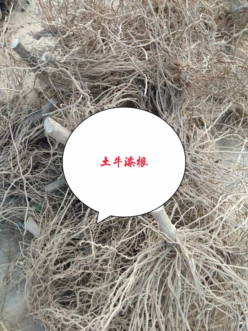 广东土牛漆各种规格有货，颜色漂亮无杂质，足干货大量供应，