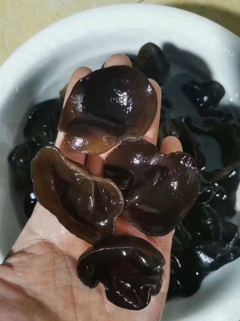 东北小木耳，加重木耳！一件60斤，地摊展会货源批发