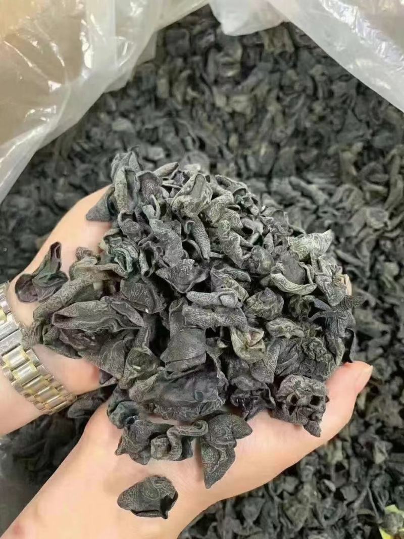 东北小木耳，加重木耳！一件60斤，地摊展会货源批发