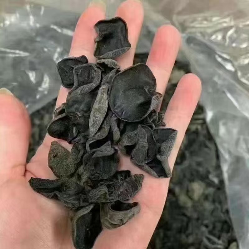 东北小木耳，加重木耳！一件60斤，地摊展会货源批发