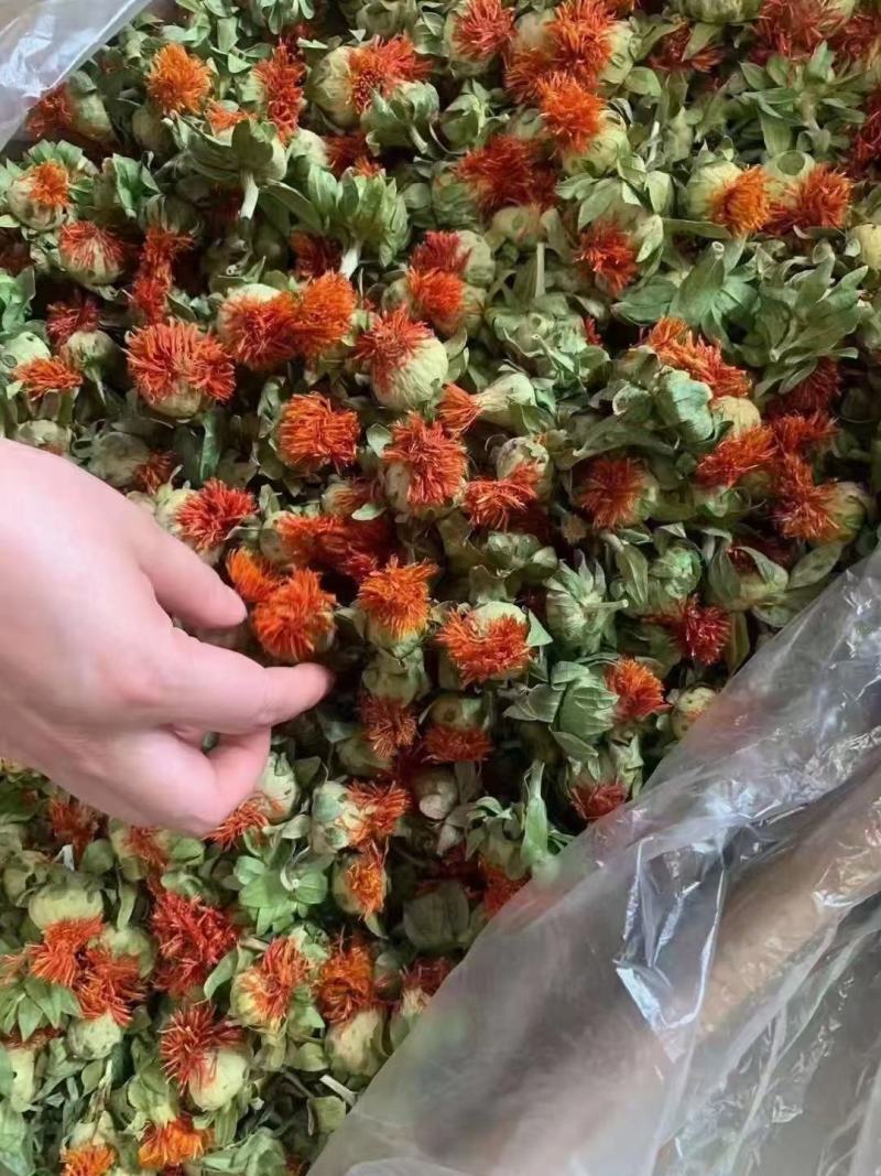 云南红花，泡水喝！送广告布录音优盘说明书！