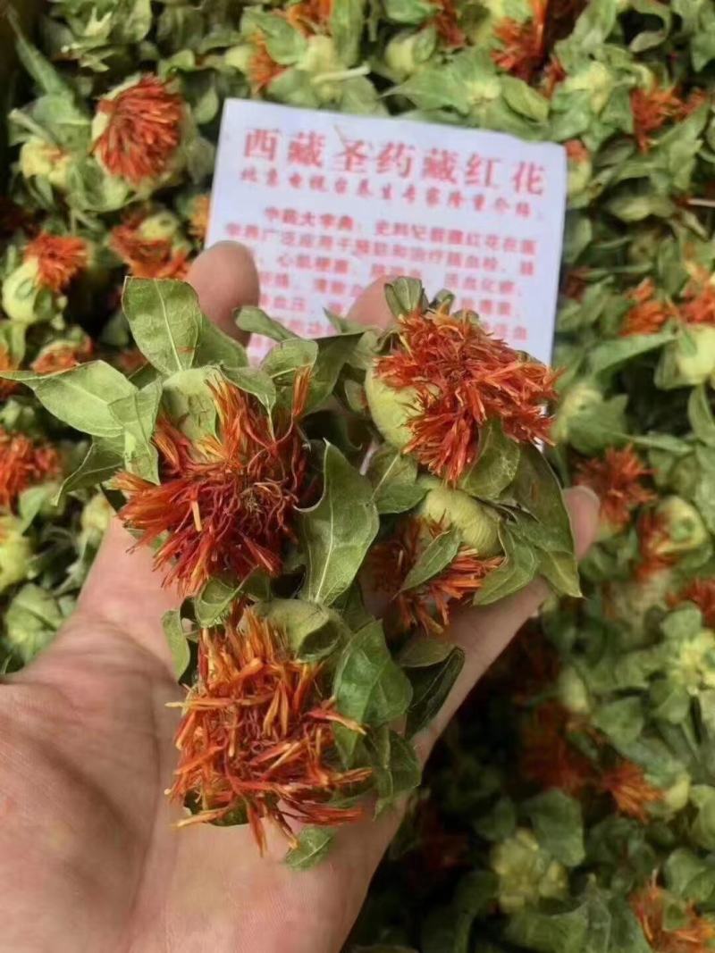 云南红花，泡水喝！送广告布录音优盘说明书！