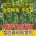 魔芋玉米田套种专用除草剂魔芋除草剂对魔芋玉米安全喷雾不伤