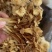 茶树菇，一件40斤装，下单送专用包装袋！适用广泛！