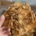 茶树菇，一件40斤装，下单送专用包装袋！适用广泛！