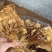 茶树菇，一件40斤装，下单送专用包装袋！适用广泛！