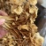 茶树菇，一件40斤装，下单送专用包装袋！适用广泛！