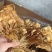 茶树菇，一件40斤装，下单送专用包装袋！适用广泛！