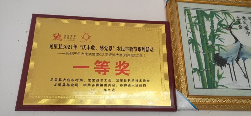 刺梨苗贵龙5号两年挂果裸根发货大量供应提供种植技术
