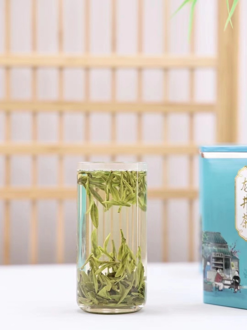 新茶龙井一芽一叶浓香型雨前龙井绿茶500克