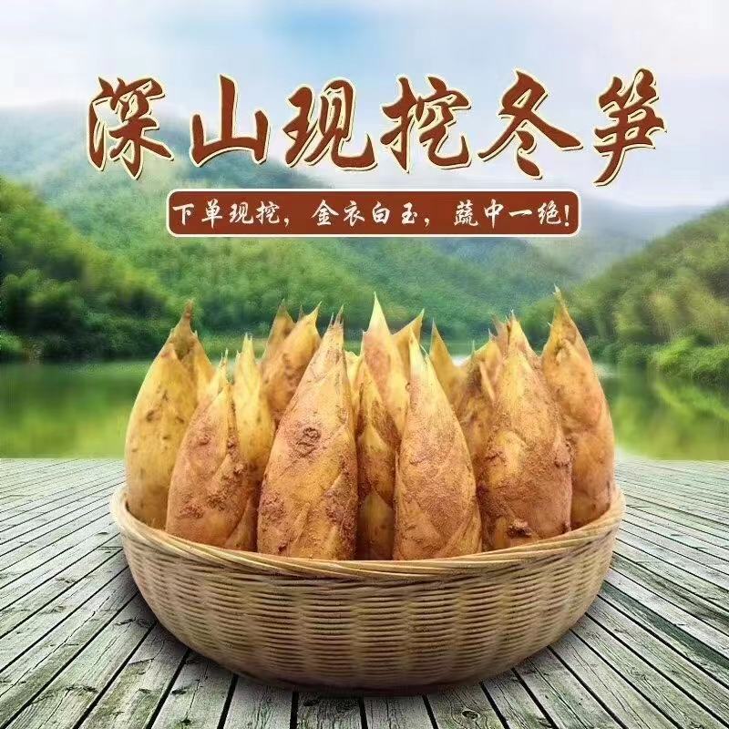 营养菌汤包，一次不吃你的错，只吃一次我的错