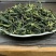 抽湿凤凰单枞鸭屎香单丛茶雪片单丛500克支持一件代发需要