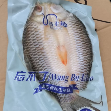 冷冻开背苏丹鱼皇帝鱼烤鱼商用400-500g一条