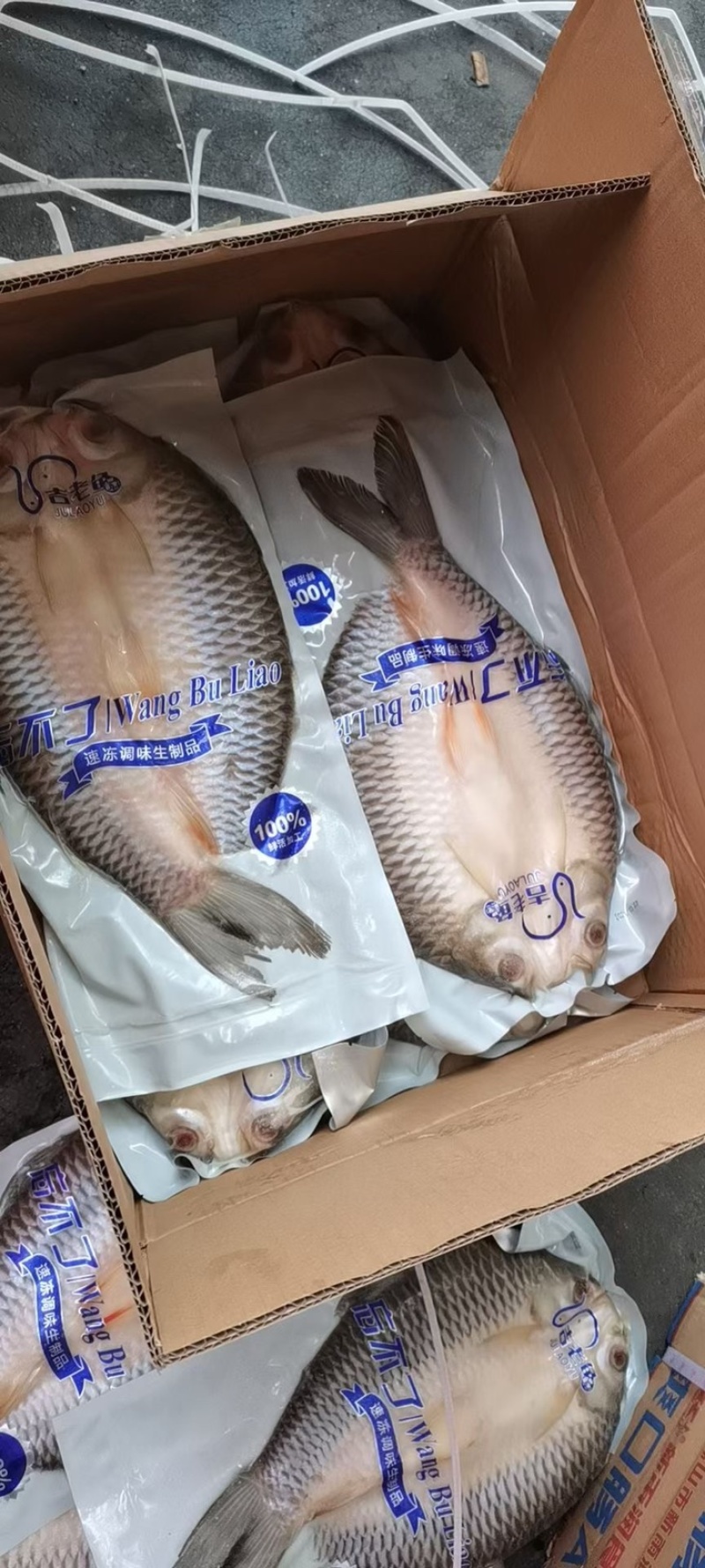 冷冻开背苏丹鱼皇帝鱼烤鱼商用400-500g一条