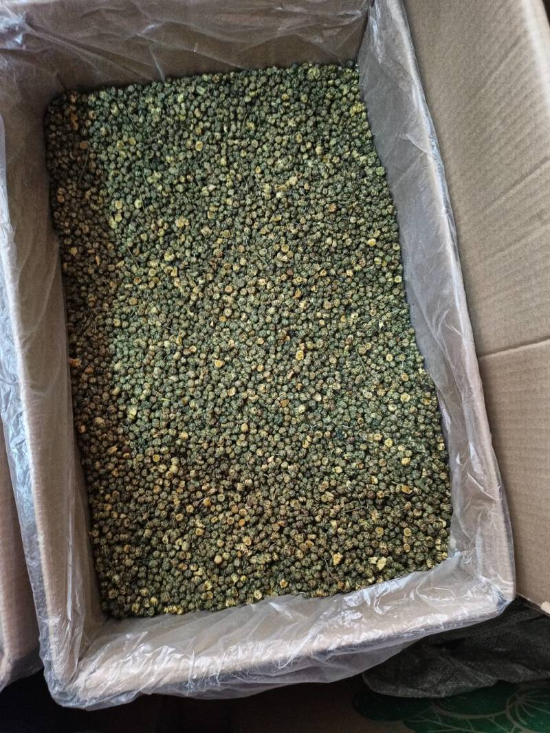 胎菊胎菊米新货颜色好各种养生花茶批发诚信经营