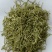 陶菊菊花各种养生花茶中药材批发诚信经营地道药材