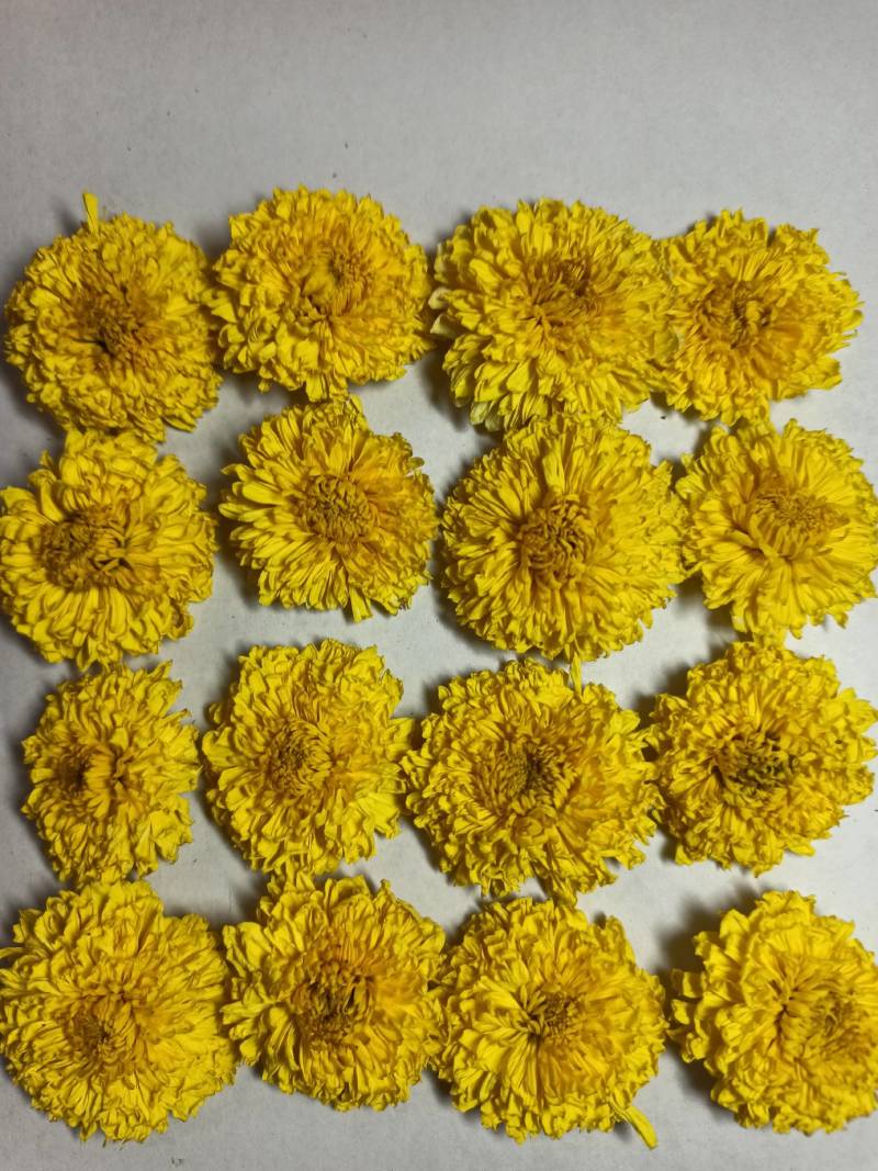 陶菊菊花各种养生花茶中药材批发诚信经营地道药材