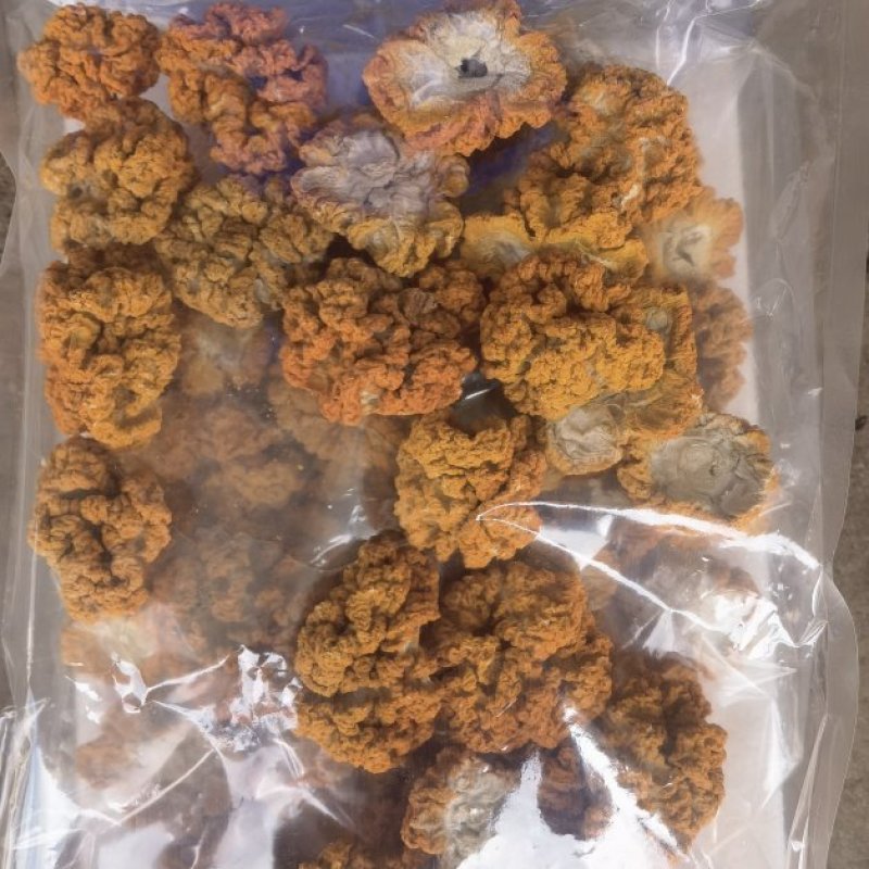 烘干有机金耳