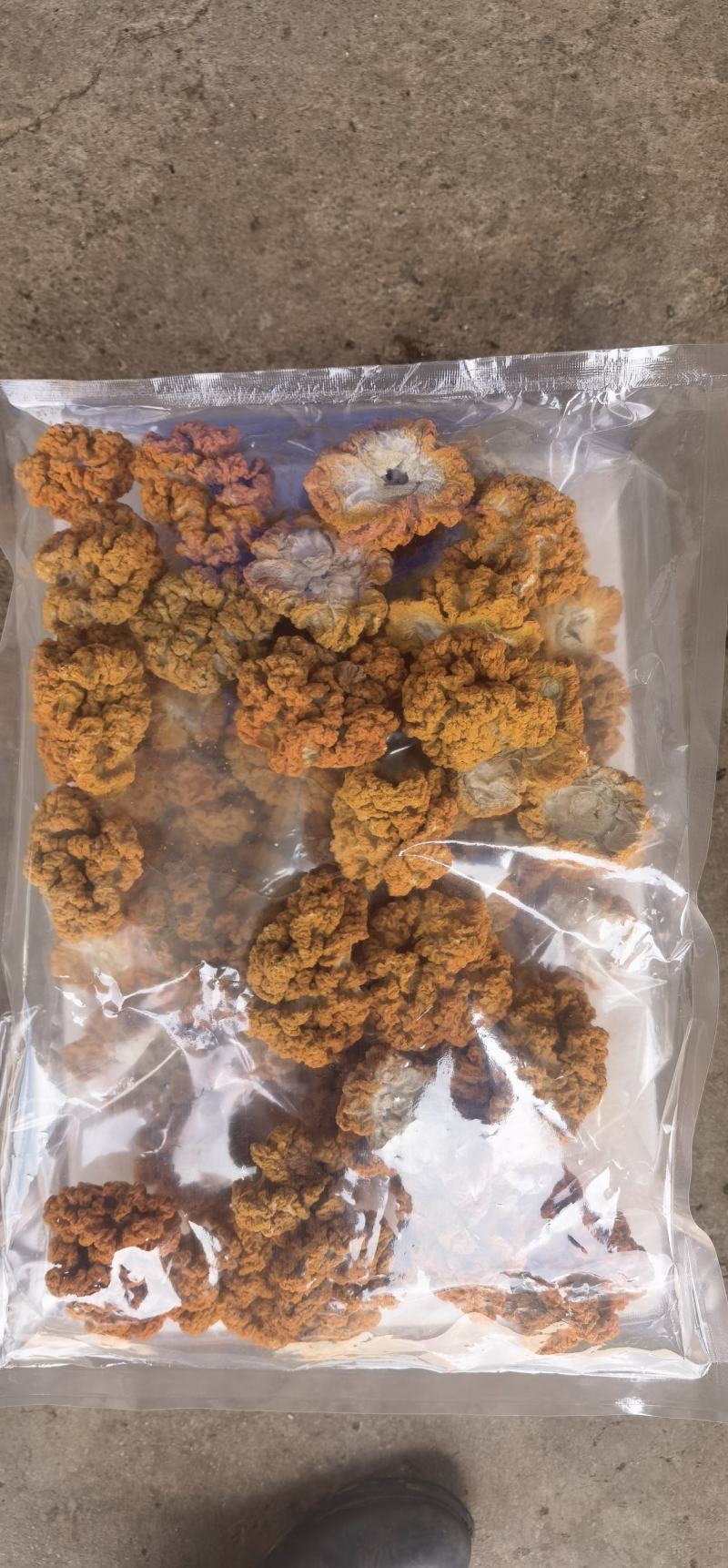 烘干有机金耳