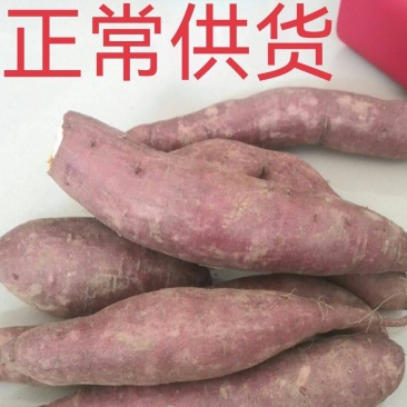 济薯26济26地瓜产地直销，品质保证，板栗薯，可正常供货